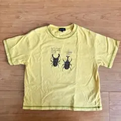 【値下げ！】GREEN LABEL RELAXING 昆虫Tシャツ