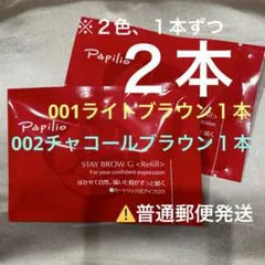 新品未開封〈リフィル〉×2本〈◇チャコール〉パピリオ ステイブロウ G
