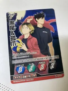 ‼️匿名配送‼️黒尾&孤爪　ハイキュー　バボカ　プロモカード