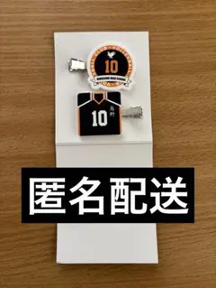 ハイキュー マルチ クリップ 烏野高校 10 番 日向 翔陽