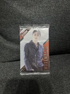 セブチ SEVENTEEN ウエハース ステッカー バーノン　ハンソル