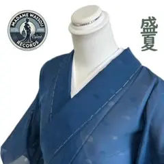 着物 単衣 正絹 色無地 紗 盛夏用 一つ紋 青色 ドット柄 中古 Ｓ寸 MWR