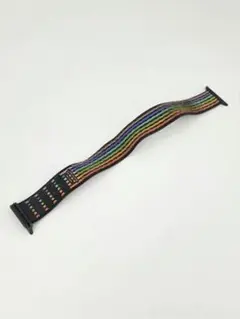 純正 NIKEスポーツループバンド　プライドエディション2022 45mm対応