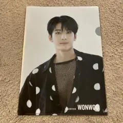 SEVENTEEN WONWOO クリアファイル
