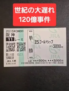 第73回 菊花賞 ゴールドシップ 的中単勝馬券 - メルカリ