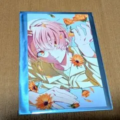 アイドリッシュセブン 劇場総集編 入場特典 和泉三月 ビジュアルカード アイナナ