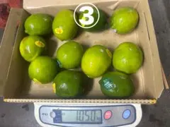メキシコ産ライムはねだし品1kgのサムネイル