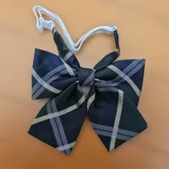 Item thumbnail for item 95c1c773-53aa-4b3f-97b0-8ace64227366