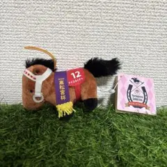 2025年最新】ナイスネイチャぬいぐるみの人気アイテム - メルカリ