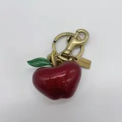2025年最新】coach キーホルダー リンゴの人気アイテム - メルカリ