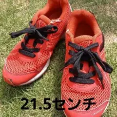 運動靴瞬足　スニーカー21センチ
