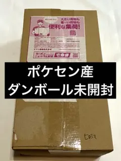 新品未開封 ポケモンセンター ヒロシマ スペシャルBOX　段ボール未開封