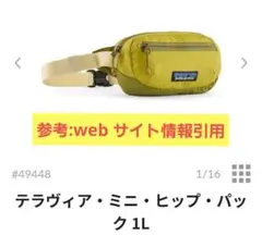 パタゴニア テラヴィアミニヒップパック 1L ★タグ付き新品未使用★