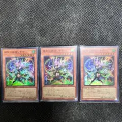 nagasu様 リクエスト 2点 まとめ商品