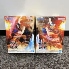 ⭐️新品未開封⭐️②点セット‼️ワンピース 戦光絶景 ブロギー & ドリー