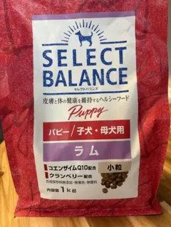 Item thumbnail for item 6d8394c8-7b0a-47ae-86fd-87c5a1820ae7