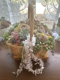 い*ち様 ❤️SALE❤️多肉植物植物そのまま飾れる✳︎バスケット大きめ