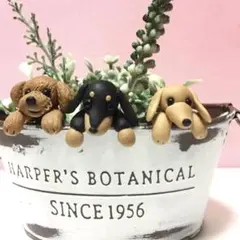 ぴぴまる様専用