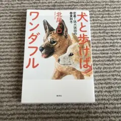 Item thumbnail for item bcb6915e-e250-4712-9199-2ec47d1b7e7d