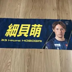 ザスパ群馬 細貝萌 選手タオル