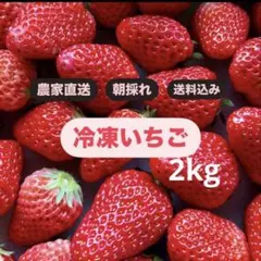 大容量】朝採り 紅ほっぺ 極小粒 〜農家直送〜 いちご - メルカリ