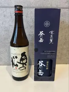 Item thumbnail for item 0b5e0838-40e4-4ccc-8f16-fbd97c26b9bb