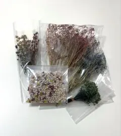 【花材】訳ありドライフラワーL