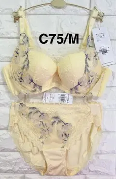 トリンプ　レッドレーベル0118天使のブラ　スリムライン　上下セット　C75/M