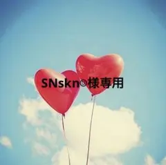 SNskn☺︎様専用・樹脂ピアス（キャッチ5セット）