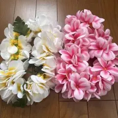 Item thumbnail for item 18502810-0fe9-4532-8402-4c8831254629