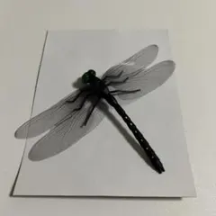 オニヤンマ 虫除け フィギュア リアル