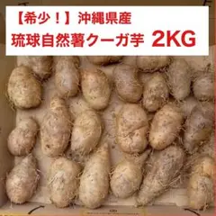 2026年最新】自然薯 じねんじょの人気アイテム - メルカリ
