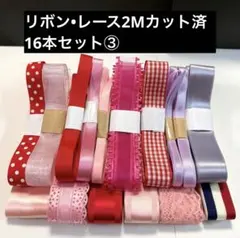リボン 16本セット 多色 デザイン2Mカット済③