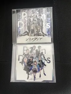 RainDrops CD オントロジー、シナスタジア 2枚セット
