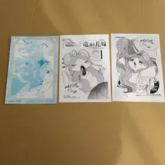 ウィズレイン王国物語 ～竜が花嫁～ 2巻 アニメイト 特典 ビジュアル