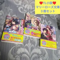 お値下げ【♥美品♥】TL小説　マリーローズ文庫　3冊セット