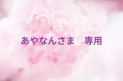 あやなん様 リクエスト 2点 まとめ商品