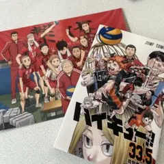 ハイキュー!! 33.5巻　ポストカード　セット