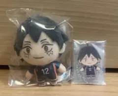 ハイキュー 山口忠