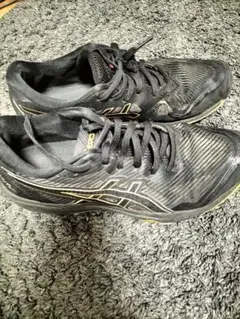 Item thumbnail for item ff4273a0-0839-437f-ab15-23d3f23b465f