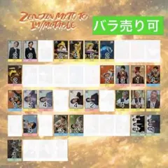 ゼンジン イミュータブル フォトカ