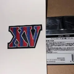 東方神起 XV ワッペンブローチ ライブツアー 2019 グッズ