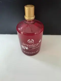 ボディ香水 2025年最新】THE BODY SHOP 香水(女性用)の人気アイテム - メルカリ