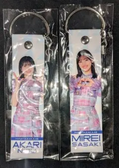 Item thumbnail for item 71117a04-1e8b-47ff-9095-50f47a3e100e