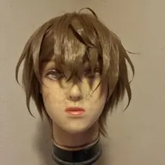 2026年最新】加賀美ハヤト ウィッグの人気アイテム - メルカリ