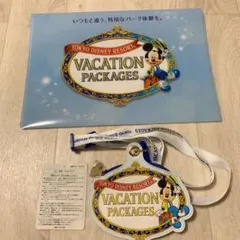ディズニーリゾートバケーションパッケージ　チケットホルダー　クリアファイル