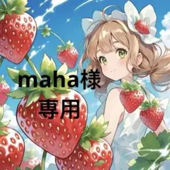 maha様 リクエスト 2点 お取り置き中8/14