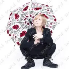 Acid Black Cherry ビニール傘