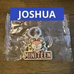①seventeen MINITEENぷっくりめじるしアクセサリー　ジョシュア