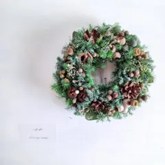 【魔女の棲む森 ～木の実と休日～】ドライフラワー リース クリスマスリース